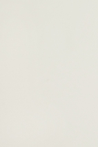 Silk organza PREMIUM XORGBIO SILK 07086