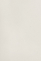 Organza jedwabna PREMIUM XORGBIO SILK 07086