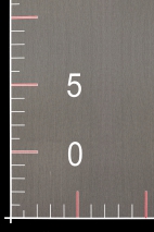 Seidenorganza PREMIUM XORGBIO SILK 07086