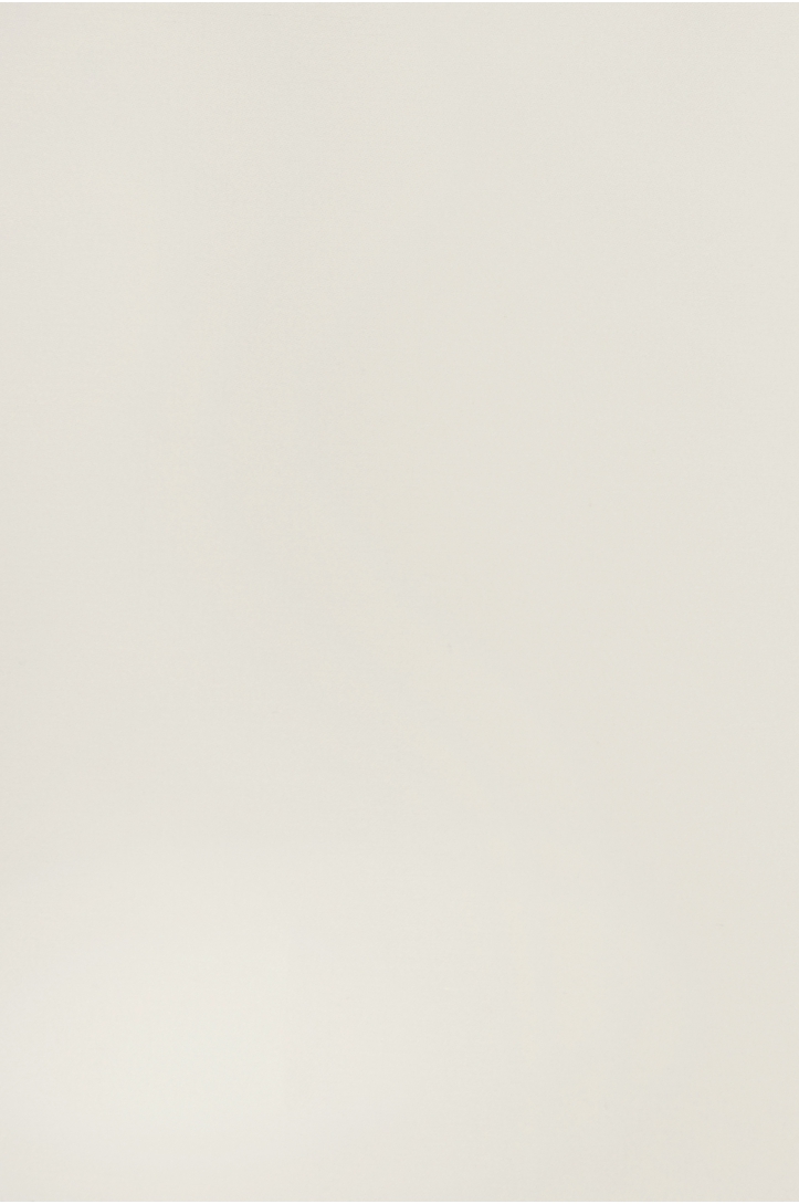 Silk organza PREMIUM XORGBIO SILK 07086