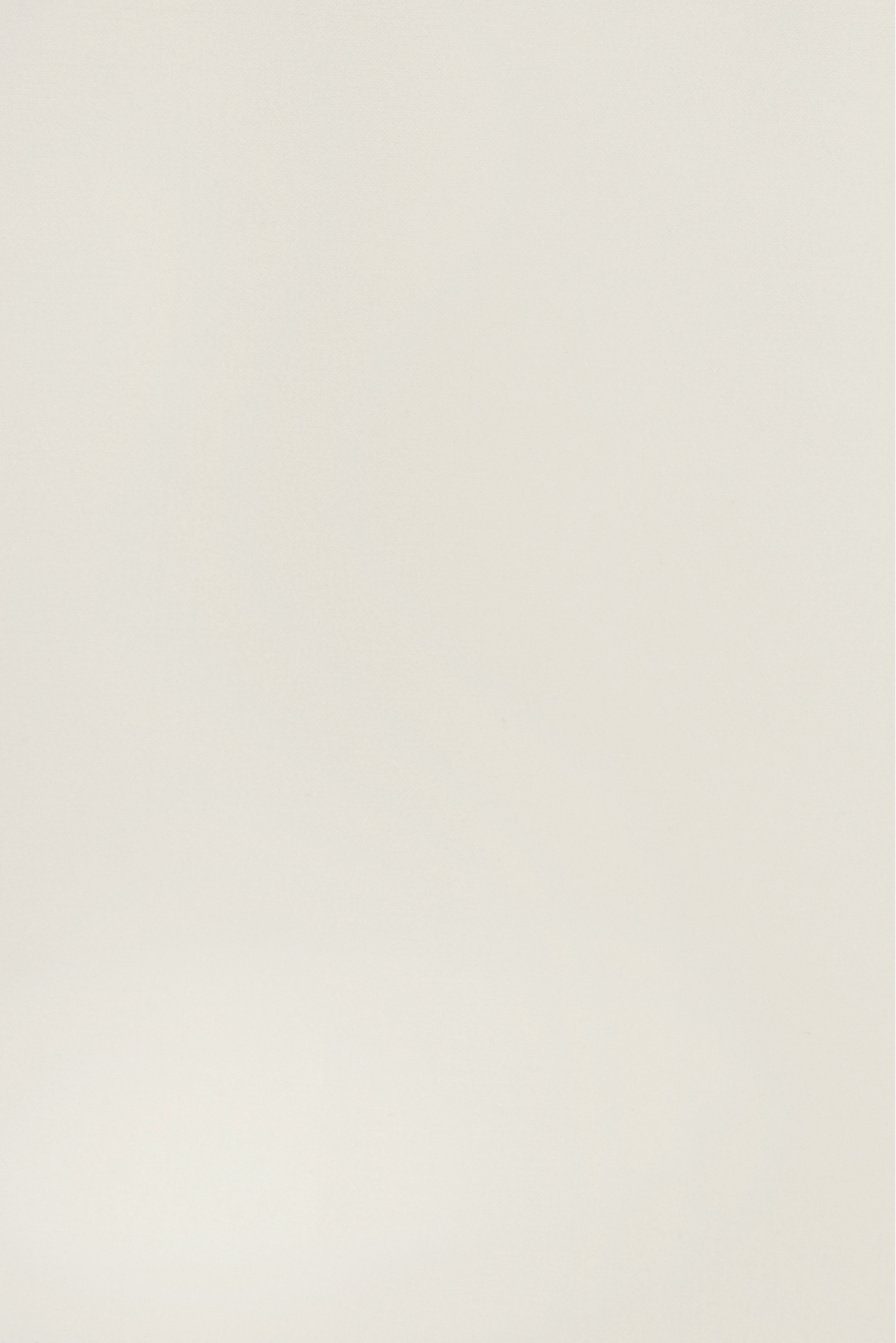 Silk organza PREMIUM XORGBIO SILK 07086