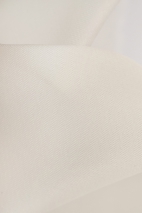 Silk organza PREMIUM XORGBIO SILK 07086
