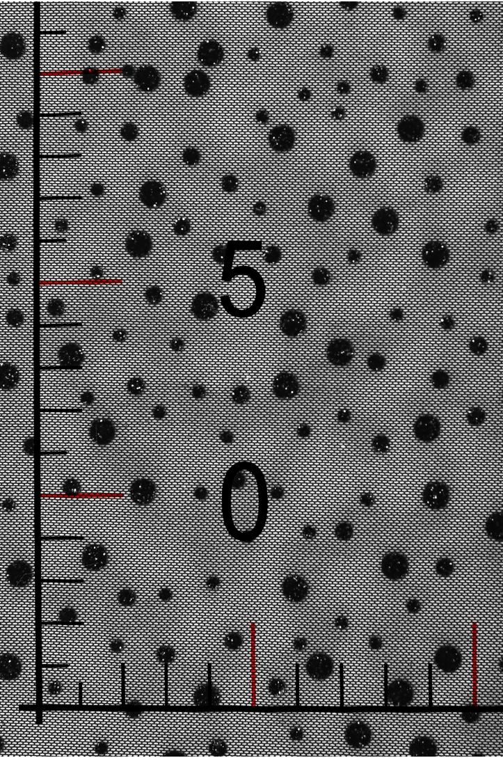 TULLE WITH GLITTER SKY LGM 3672 DOTS