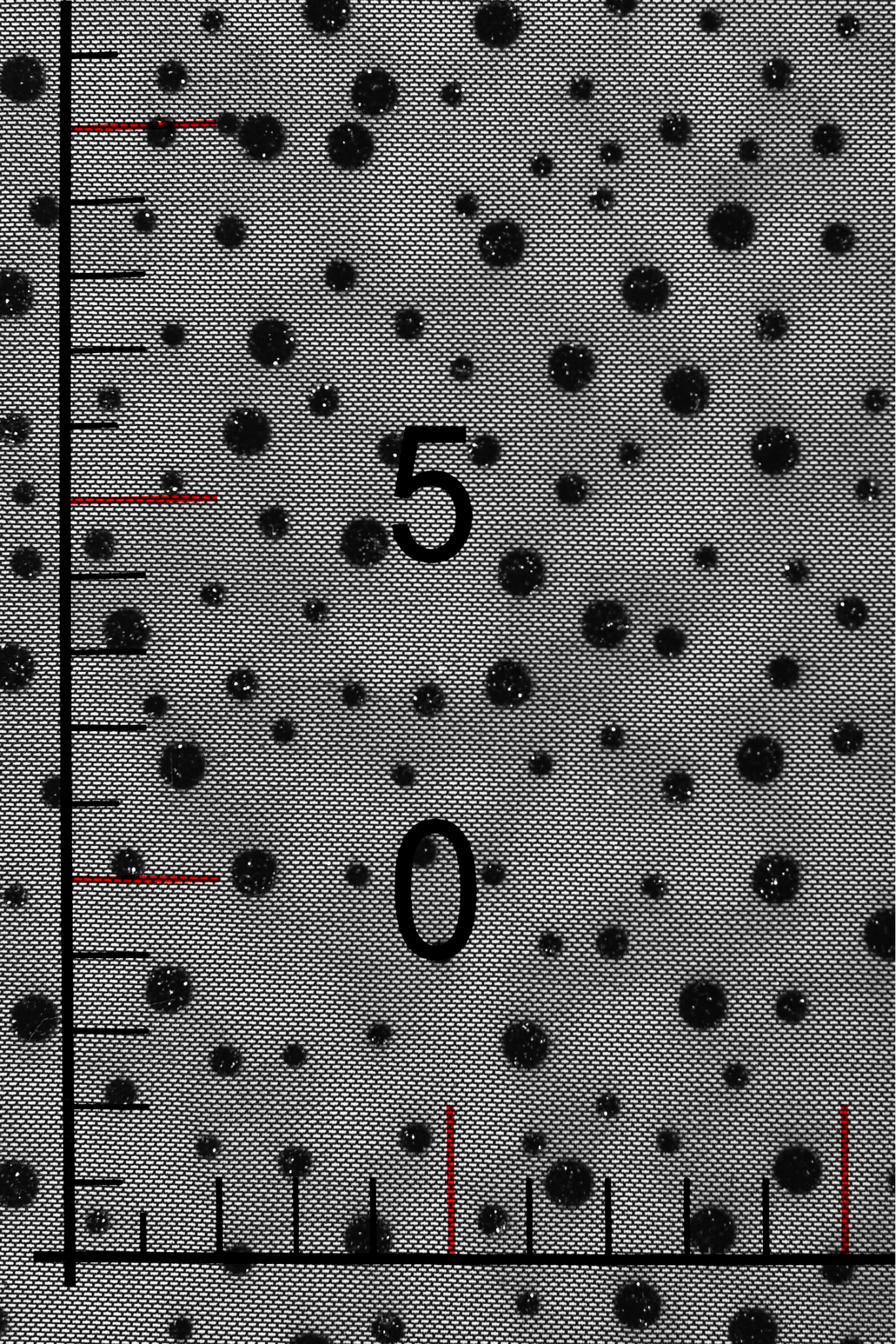 TULLE WITH GLITTER SKY LGM 3672 DOTS