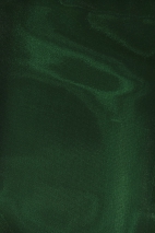 Shiny Organza VOOMEGA