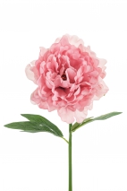 Artificial Flower - Peony