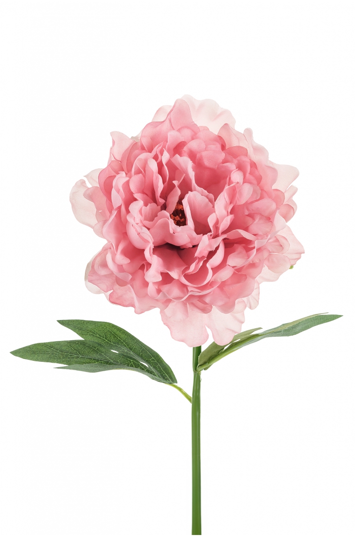 Artificial Flower - Peony
