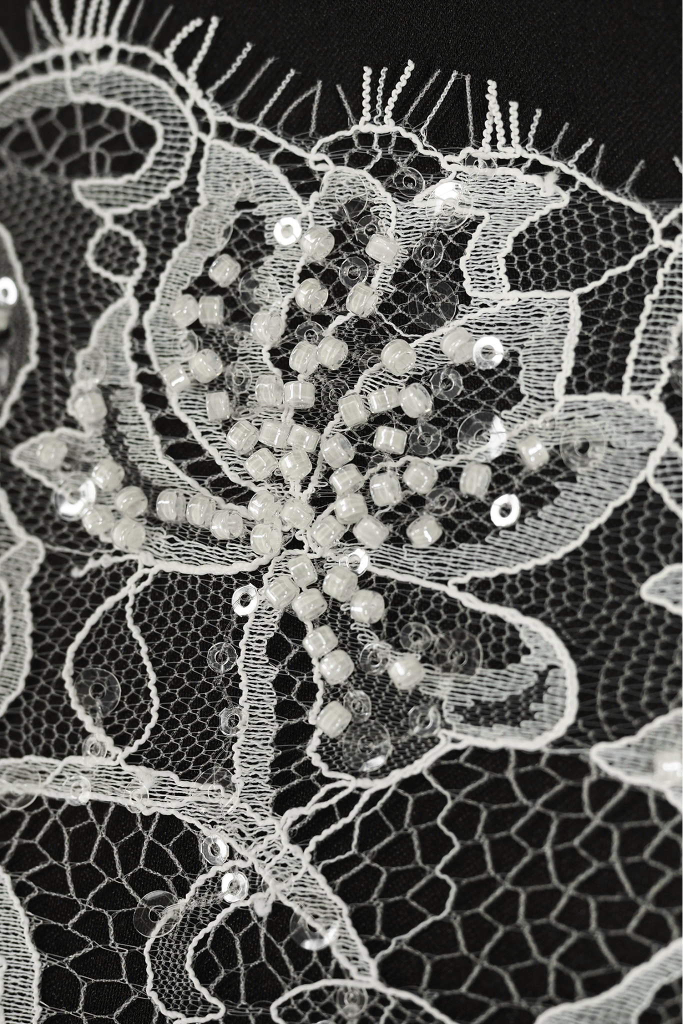 W36336