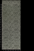 W36328
