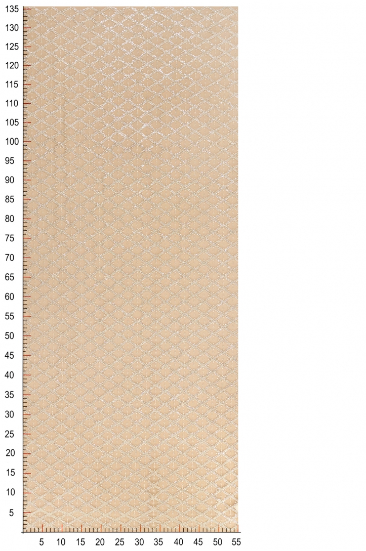 13889 SKIN