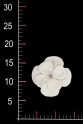 WA0292
