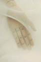LN78 ORGANZA