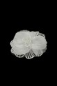 FLOWER 3D 02