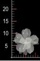 FLOWER 3D 07
