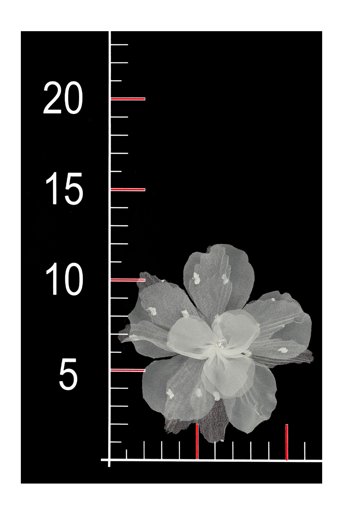 BLUMEN 3D 07