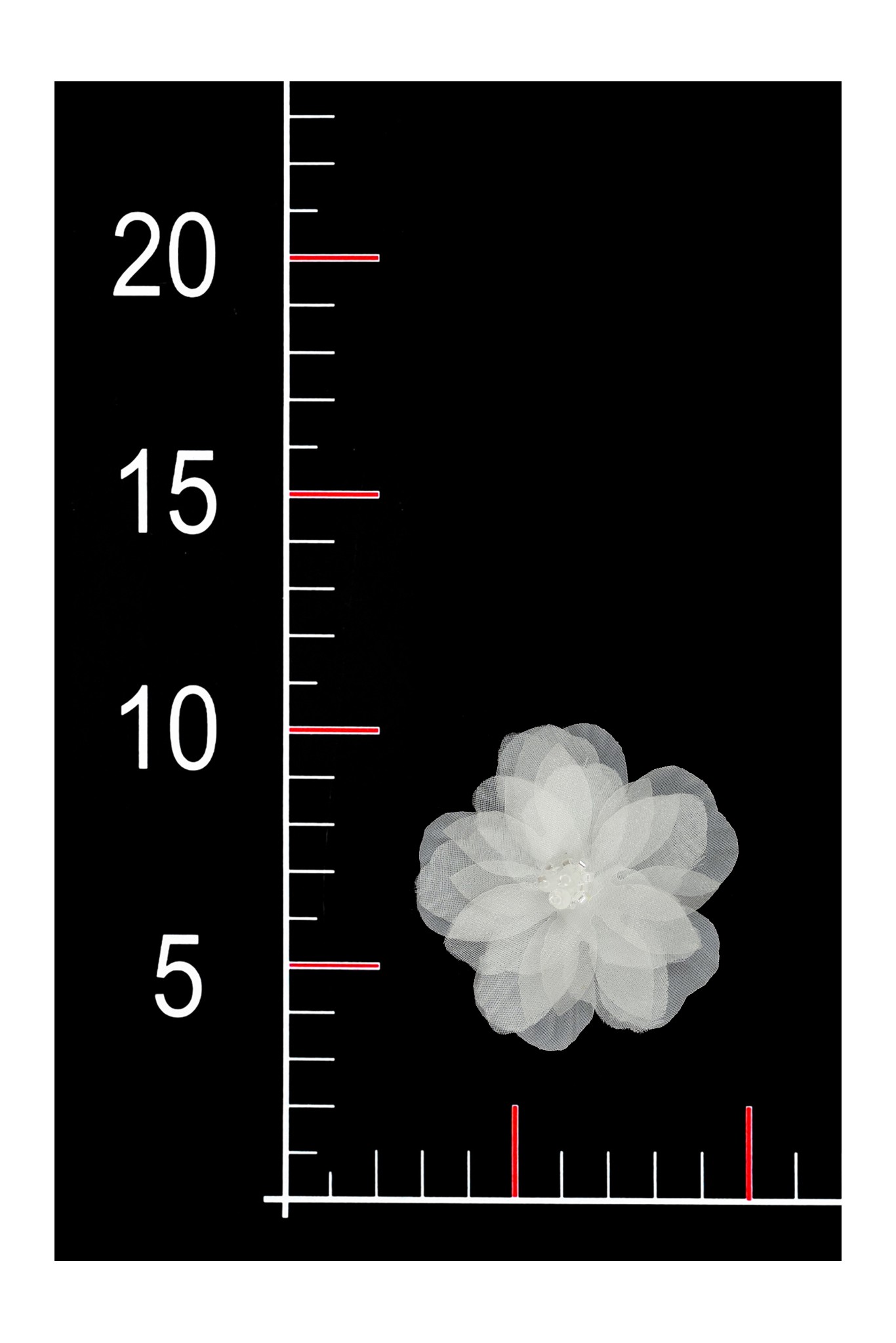 BLUMEN 3D 08