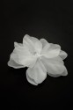 FLOWER 3D 011