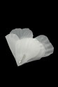 BLUMEN 3D 012