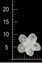 FLOWER 3D 013