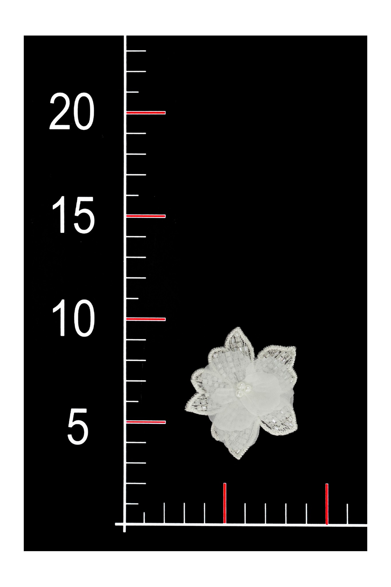 BLUMEN 3D 016