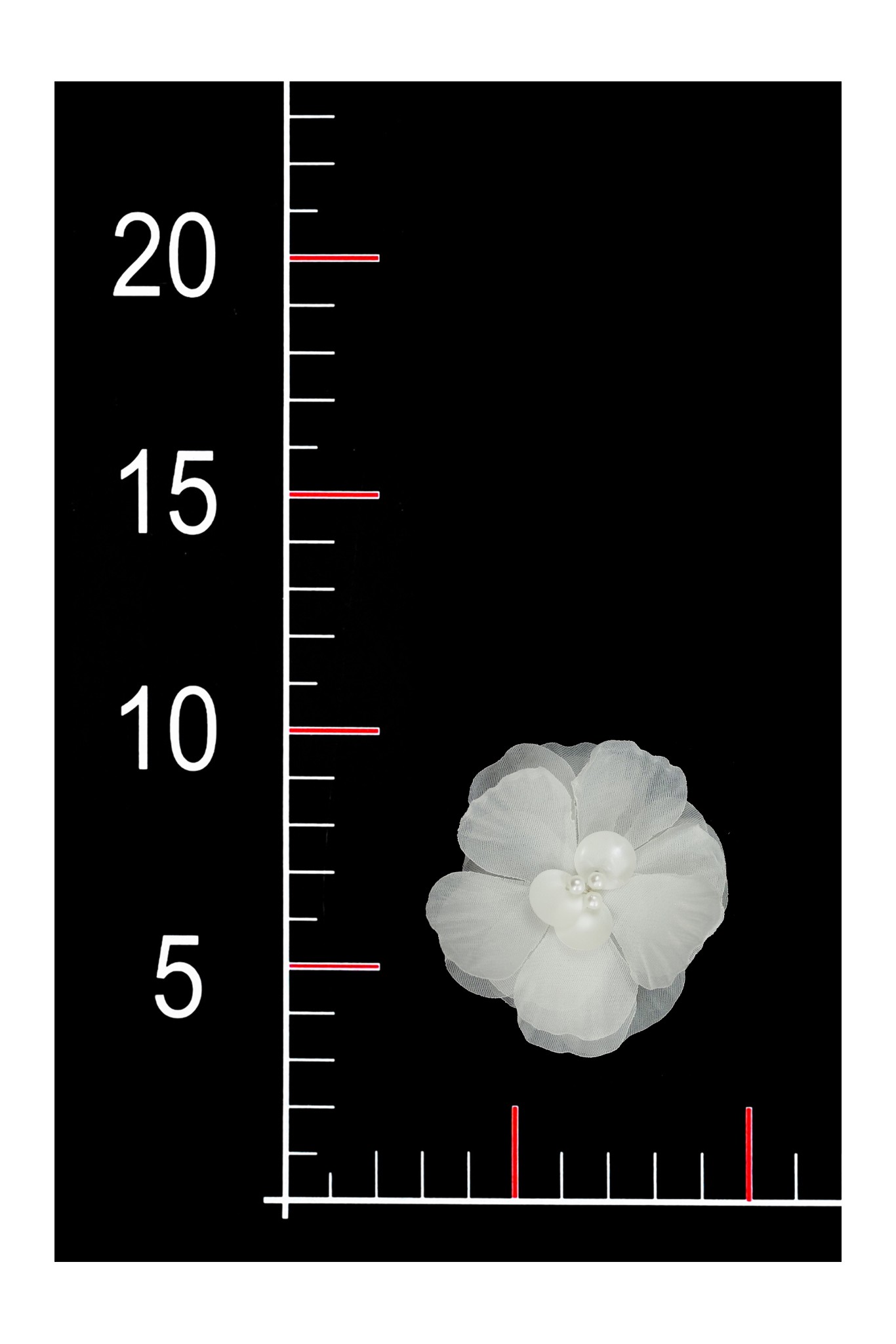FLOWER 3D 017