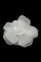 FLOWER 3D 017