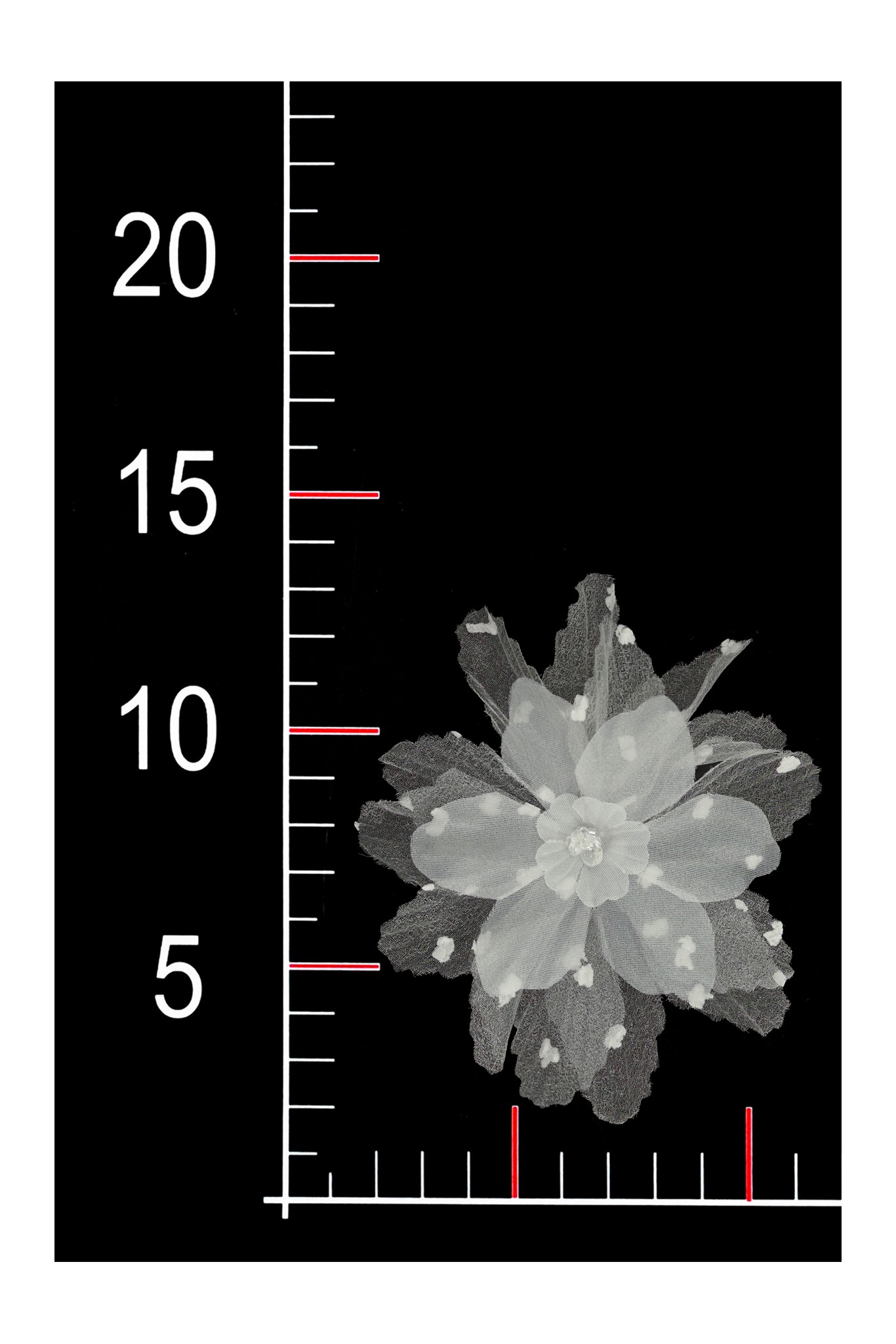 BLUMEN 3D 020