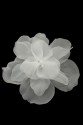FLOWER 3D 021