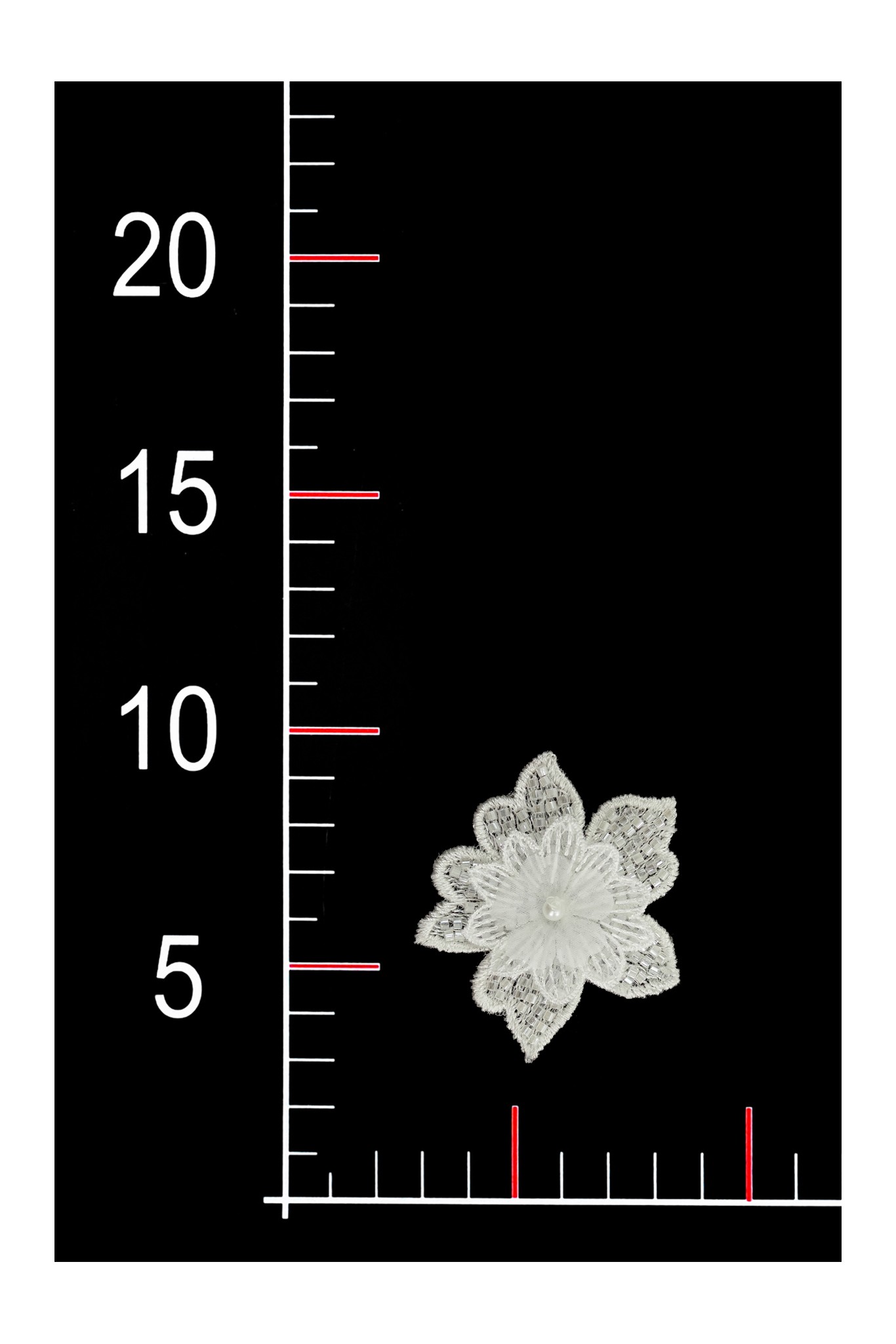 BLUMEN 3D 032