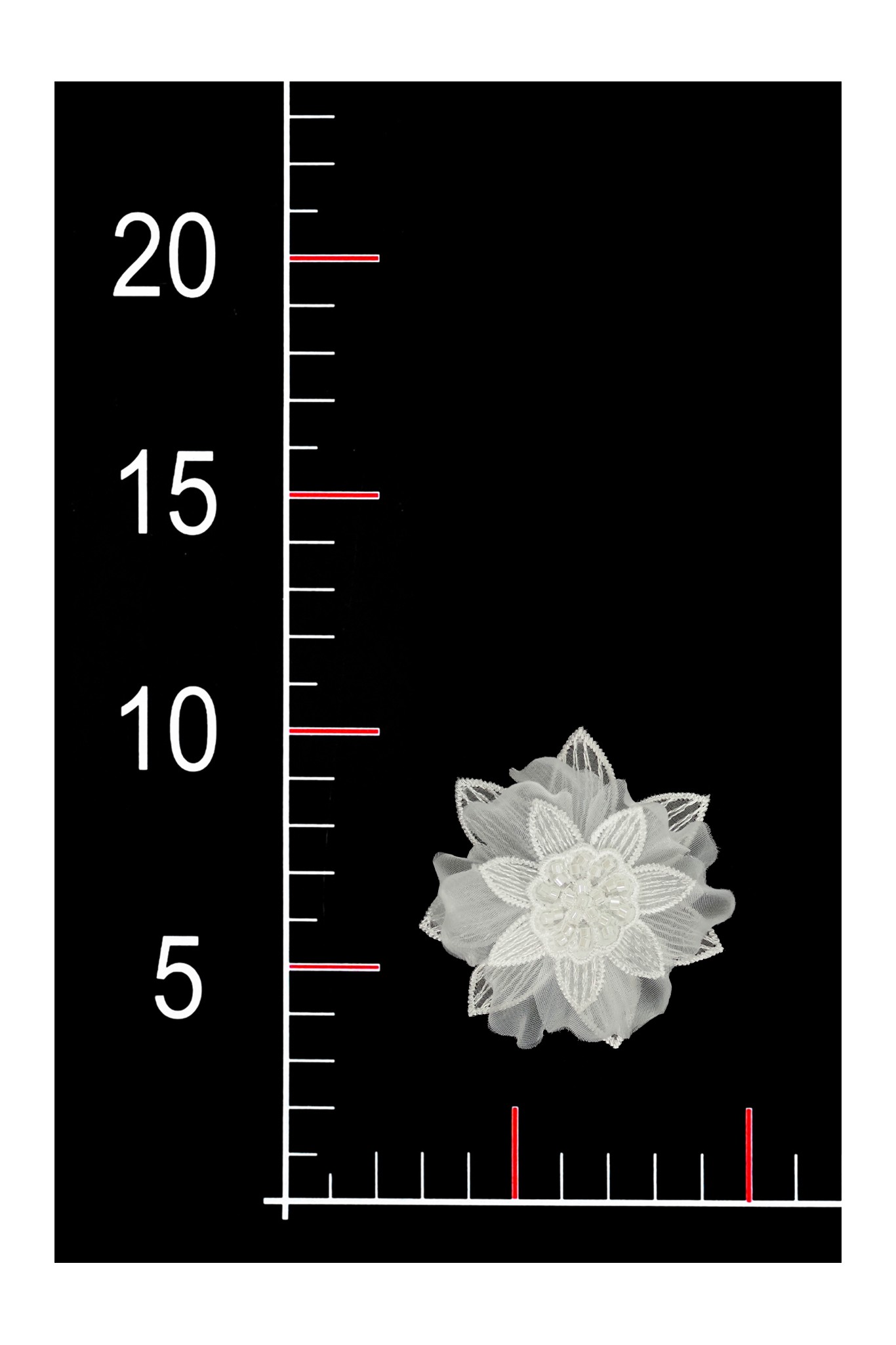 FLOWER 3D 033