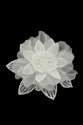 KWIAT 3D 033