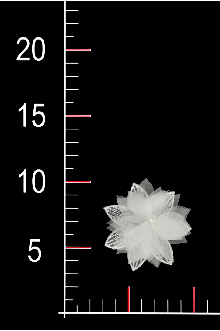 BLUMEN 3D 038