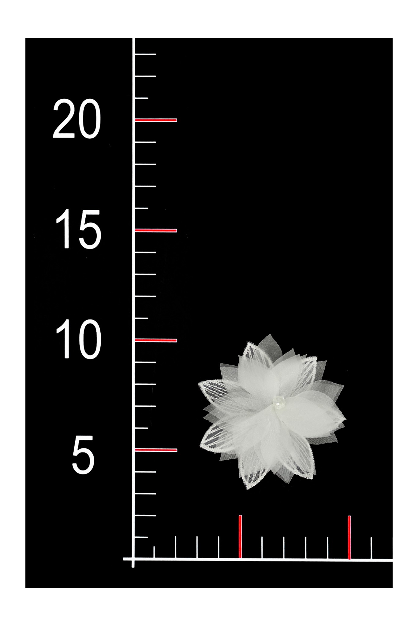 BLUMEN 3D 038