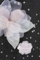 LACE 3D ML19970