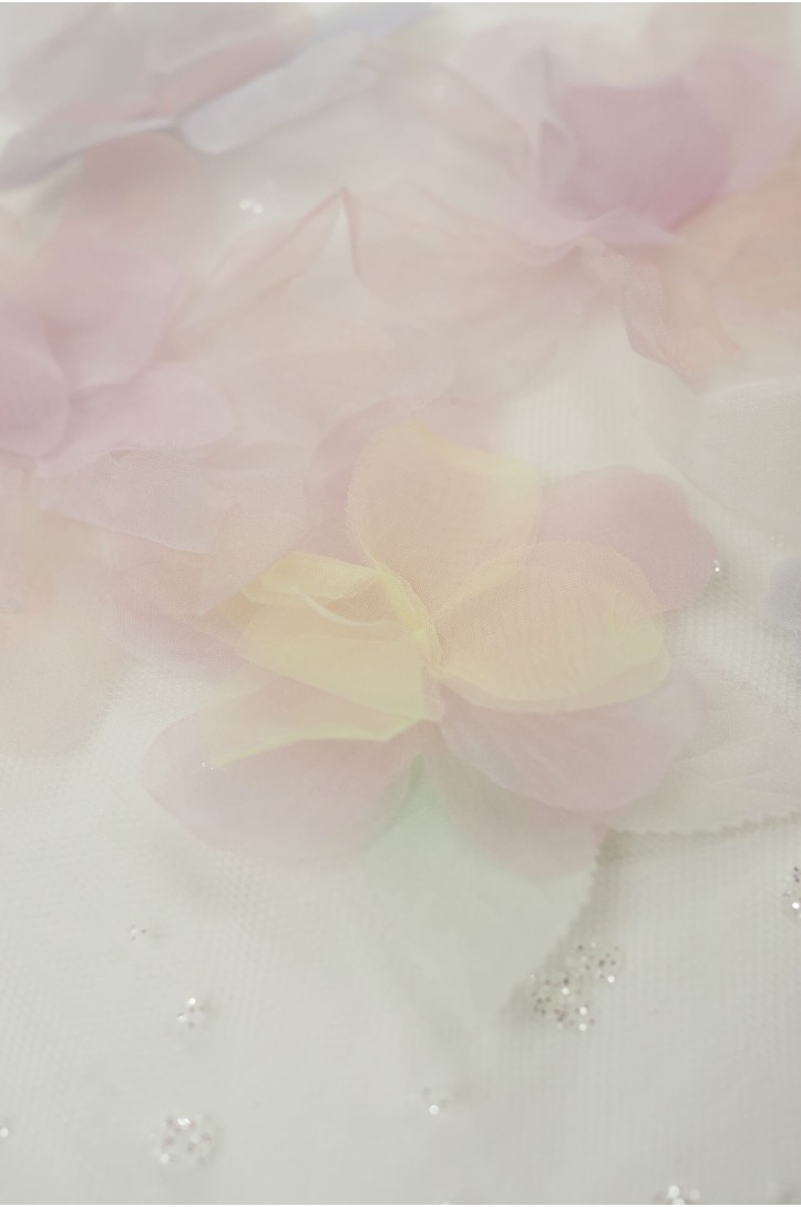 LACE 3D ML19970