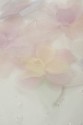 LACE 3D ML19970