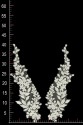 MOTIF VL55852