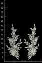 MOTIF VL65199