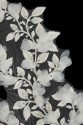 APPLIKATION 3D VL553293