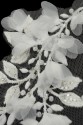 APPLIKATION 3D VL553293