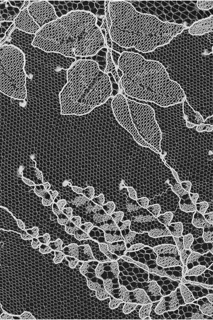 FRENCH LACE W32358 PODKŁAD