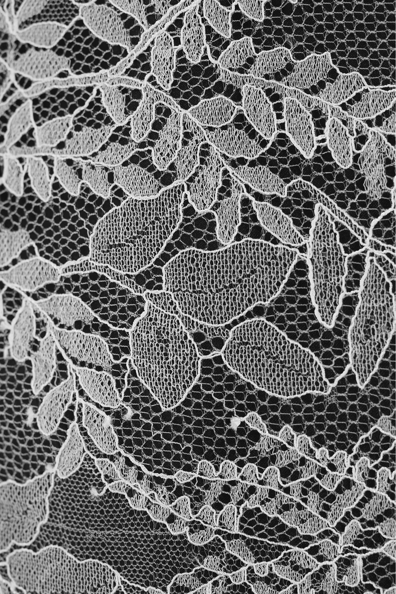 FRENCH LACE W32358 PODKŁAD