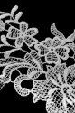 MOTIF WA23052