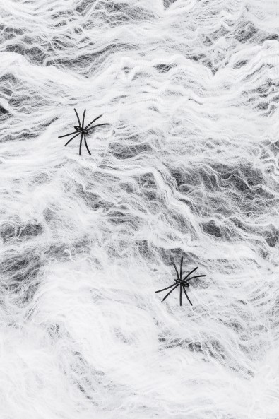 White spider web