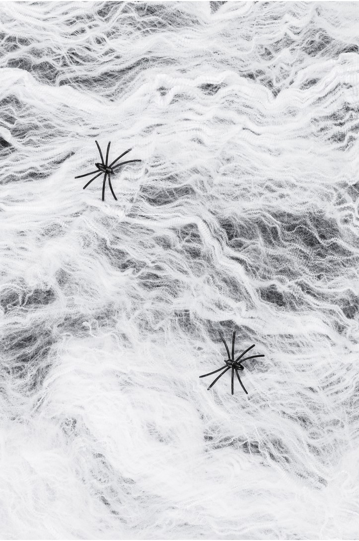 White spider web