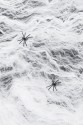 White spider web
