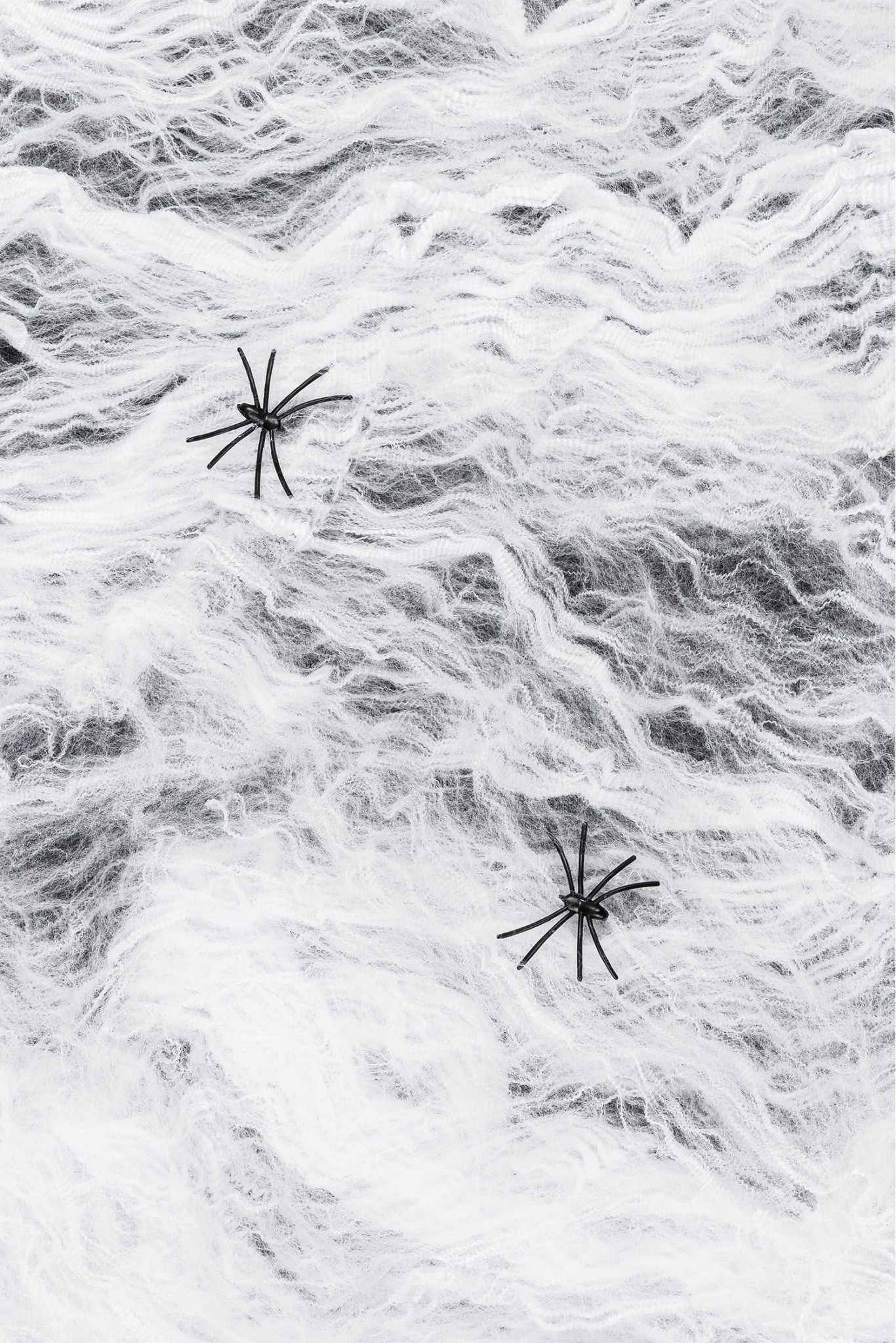 White spider web