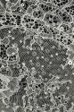 FRENCH LACE VL56336-14 KORD ZDOB