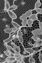 FRENCH LACE VL56386 KORD ZDOB