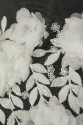 LACE 3D VL563903
